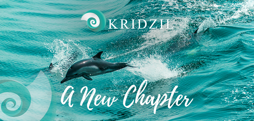 Kridzil - A New Chapter